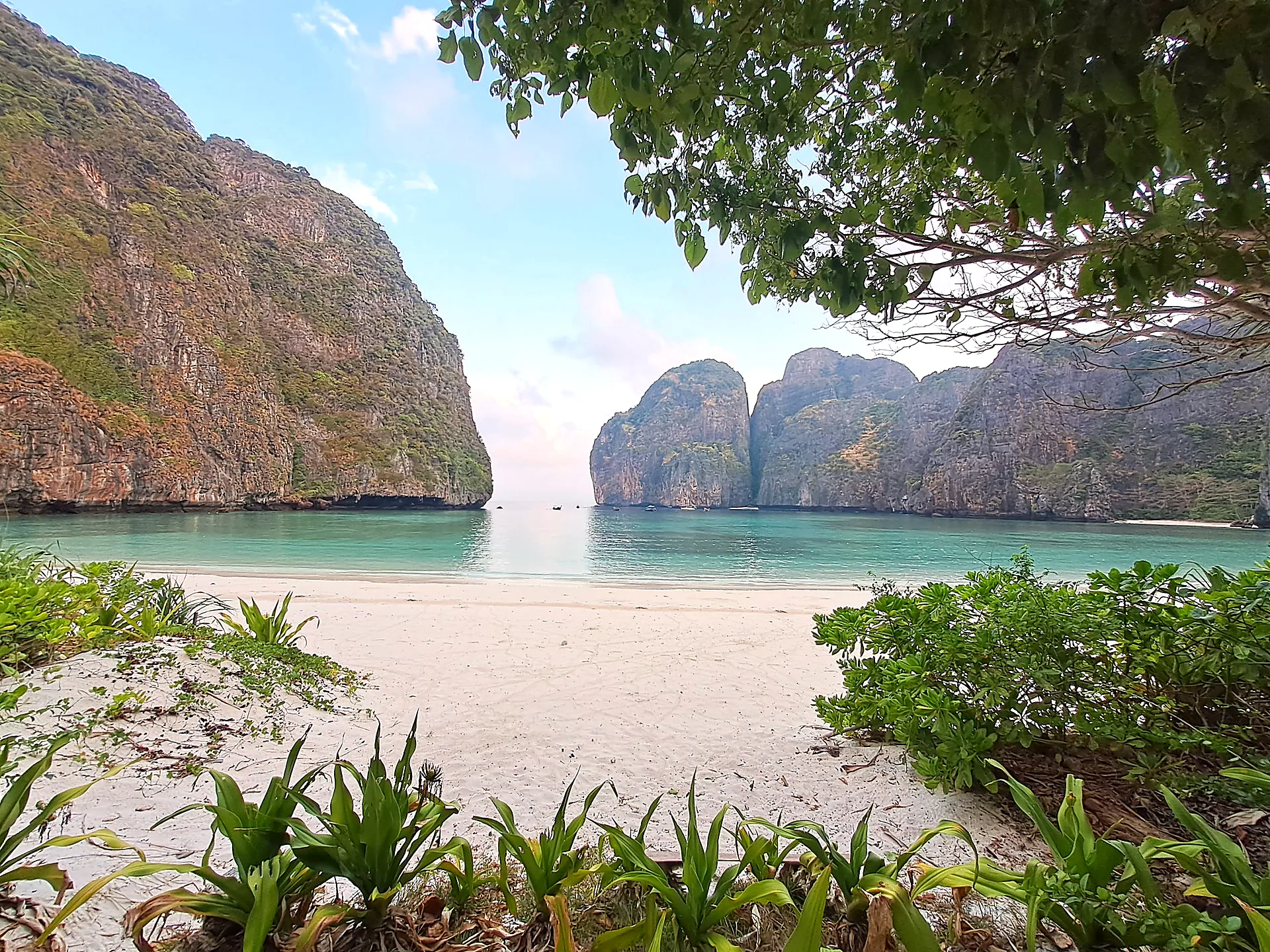 Maya Bay beach between the limestone cliffs